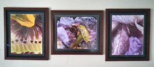 wood frames example