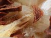 milkweed-seed-collage-05-inch