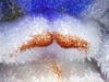 mustache-ala-borage-015-inch